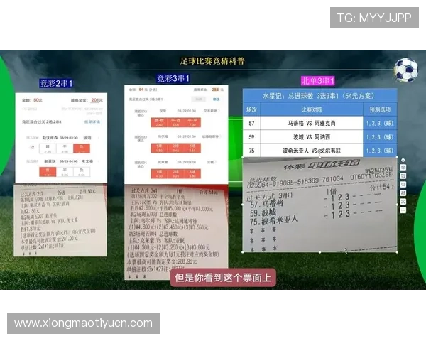 体验BWIN体育手机版多样化的体育竞猜玩法满足不同用户需求