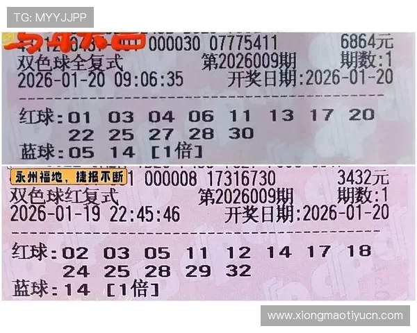 双色球官网在线购买流程详解，帮助新手用户轻松掌握购票技巧与安全保障措施